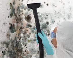 Why You Should Choose Our Mold Remediation Services in Ripon, WI